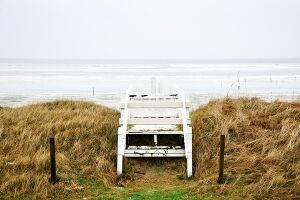 Griante - Comune di Griante 1.jpeg