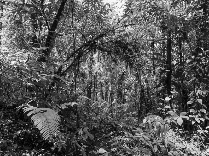 File:Costa Rica 11.jpg